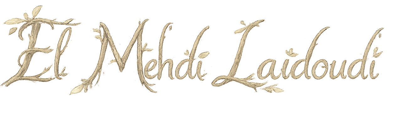 El Mehdi Laidoudi