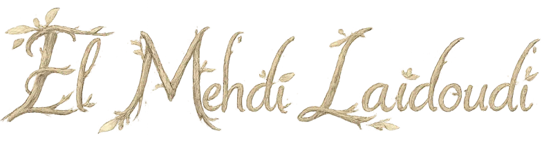 El Mehdi Laidoudi